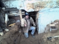 Misc.Pics.Web 015
