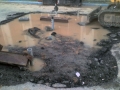 Misc.Pics.Web 026