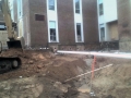 Misc.Pics.Web 034