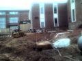 Misc.Pics.Web 035